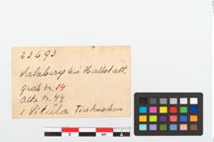 Etikett zu Bronzesitula (NHMW-PRAE-023693)